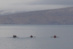 30221483_789734997888368_37999010186788864_o