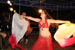 IMG_4778 IMG_4778